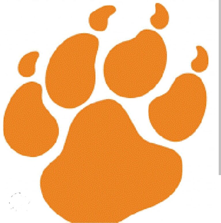 325586029_558802189467927_6608756057418812796_n