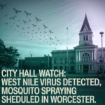 a building with many birds flying in the sky