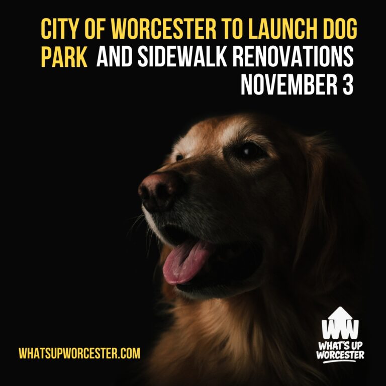 City of Worcester to Launch Dog Park and Sidewalk Renovations November 3