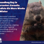 Red Minimalist Merry Christmas Facebook Post