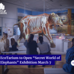 Red Minimalist Merry Christmas Facebook Post (16)