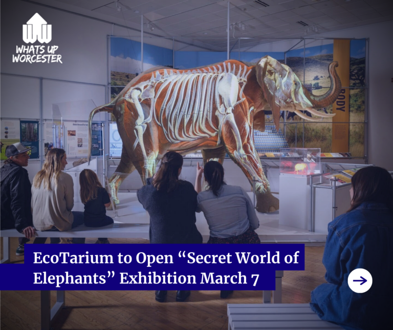 Red Minimalist Merry Christmas Facebook Post (16)