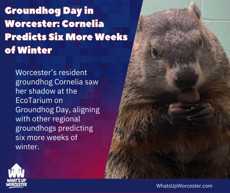 Red Minimalist Merry Christmas Facebook Post