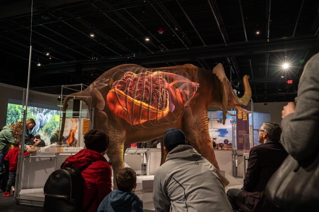 Major National Science Exhibition Debuts in Worcester at EcoTarium